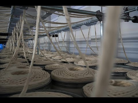 BBC One - UK cotton back in production in Manchester