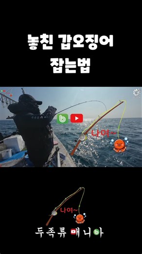 How to re-catch a cuttlefish that fell off while landing