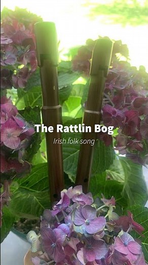 The Rattlin Bog