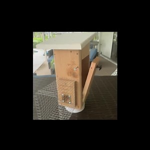 Insulated Roost Box for Songbirds | Cedar | Predator Guard | Weatherproof - Etsy