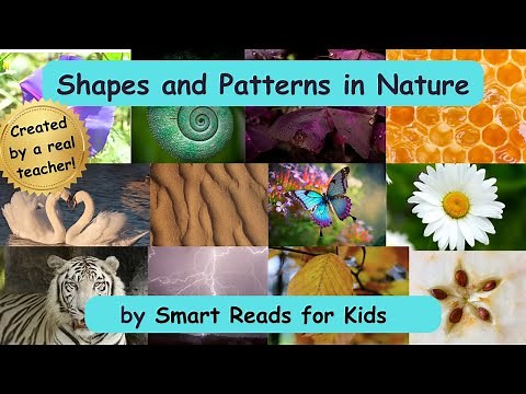 Patterns and Shapes in Nature. What shapes and patterns exist in nature? Pre-K, toddlers, ELL ESL!