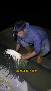 为啥聪明人都晚上采香菜？看完恍然大悟！ #涨见识 | 知识星球