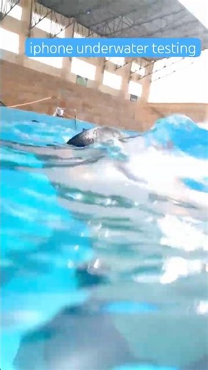 iPhone 17 underwater test in swimming pool will it survive #iphone #trending #shorts