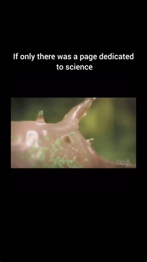 Science 🔬 on Instagram: "🛡️ The Immune System: Your Body’s Hidden Superpower 🧬⚡ Every second, an invisible battle rages inside you. Your immune system is on constant patrol, defending against invaders like viruses, bacteria, and abnormal cells. But how does it actually protect you? Let’s break it down: 🩸 Step 1: Detection ✔️ White blood cells scan your body for foreign invaders ✔️ Specialized cells identify pathogens and alert the army ✔️ Precision is key—healthy cells are left unharmed ⚔️ S