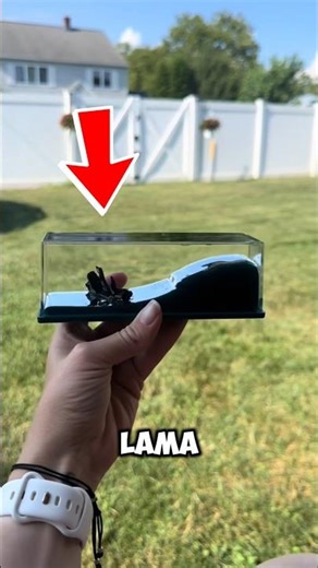 This Toy Never Spills! The Secret Just Revealed!