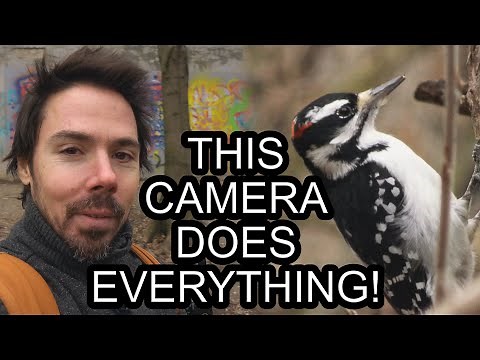 This Tiny Point & Shoot Rivals My Full Frame Setup (Sony HX99)