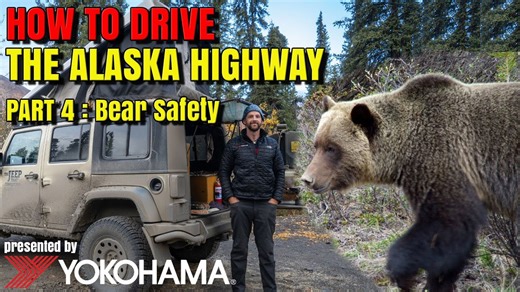 Driving the Alaska Highway: Bear Safety (Part 4)