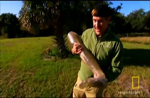 Shocking: Wild boar vs. Human.