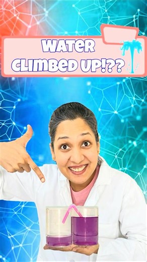 How Water Climbed up?!! | Science Experiment
