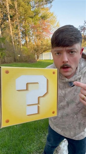 Super Mario Mystery Box