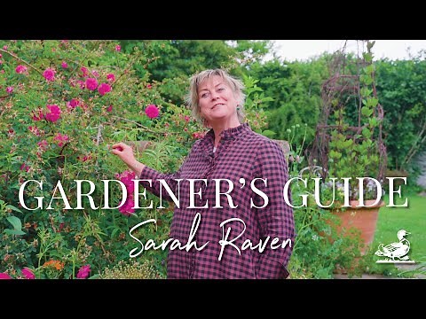 Tour Sarah Raven's Perch Hill Garden | Garden Tour