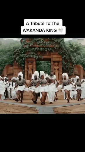 Rihanna Tribute to Black Panther: Lift Me Up