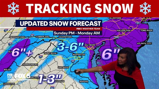 DC weather: Rain moves in overnight Saturday