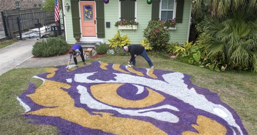 Photos, timelapse: Two true LSU fans paint massive LSU Tiger eye onto lawn of Metairie home