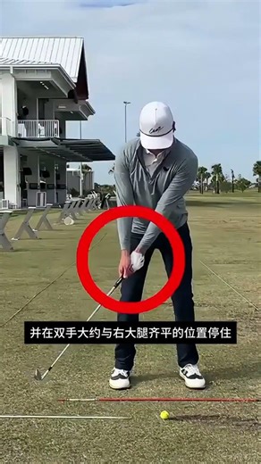 Top Golfers Analysis: Master Tips for Beginners