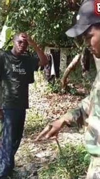 have you watch it,kma ujawatch go and watch it full #watchfree #gostream#uwatchfree #unlimitedmovies