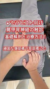 セラピスト向け！肩甲背神経の解剖、治療の仕方！頚部痛や背部痛に！ #理学療法 #physiotherapy #腕の痺れ #肩こり #首が痛い #ストレッチ #五十肩