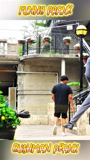 Entertaining Bushman Prank Compilation Highlights