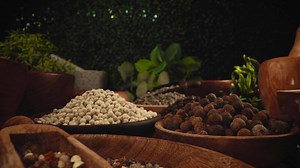 Assortment spices for cooking