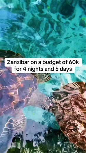 Zanzibar on a Budget: Affordable Travel Tips