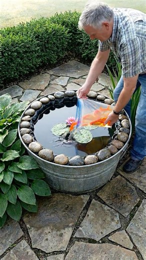A Vintage Washtub Became This Stone-Lined Mini Pond With a Pink Lily 🌸