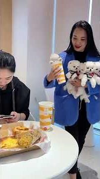 #Teacup Dog #Pomeranian #Cute Pet