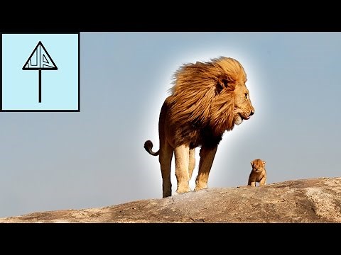 Photoshop Glow Effect Around an Object Tutorial