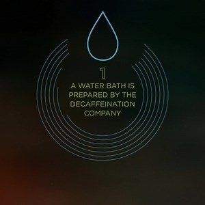 1.2K views · 35 reactions | #DidYouKnow: Peet’s decaf coffees go through the natural water process decaffeination to remove caffeine—not flavor—before meticulous roasting. By using the same high-quality coffee beans as in our regular coffees, we ensure a decaf with so much richness and depth, it tastes as good as the real thing. Learn more about our decaf water process: https://bit.ly/3A1W3S0 | Peet's Coffee | Facebook