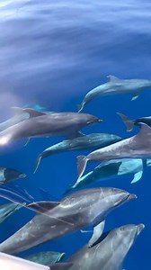 Beautiful  | GIF'S Galore | Facebook