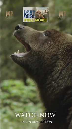 Lost wilderness clip