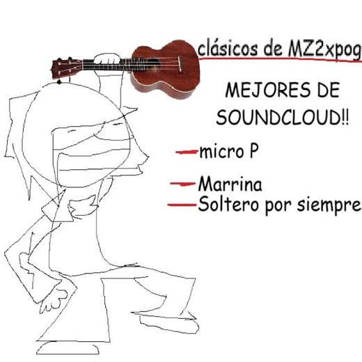 Micro P