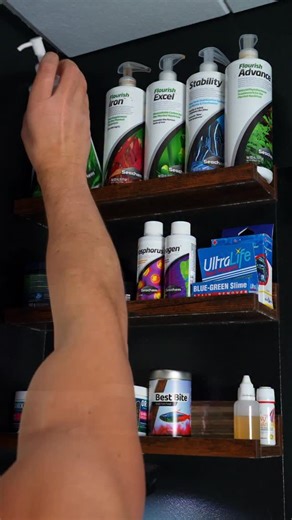 MJ | Aquascaping on Instagram: "Good news!! If you’ve been watching my YT channel you’ll know that I had a crazy algae outbreak recently 🤷‍♂️ But, I just came back from a trip to the US and to my surprise the majority of the algae is now gone 🥳 The blackout & UV steriliser killed most it 👏👏 Now I can focus on getting the layouts back in shape, of course with the help of @seachem_laboratories fertilisers 😌😌"