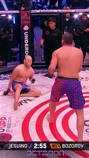 Steel liver shot! #mma #octagon #fighting