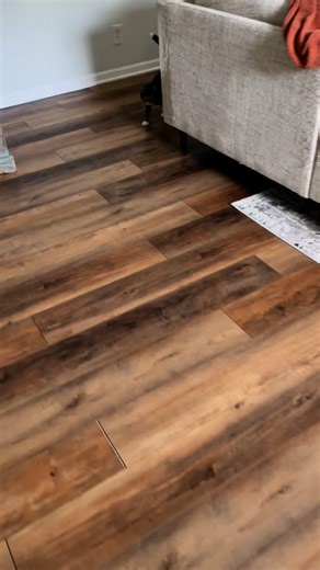 WILLY WONKY | Wobbly Feline🐾 | That bunny hop!🤣🤣🤣🤣 Don’t forget to order your Willy and Charlie Enamel Pins! Campaign ends in 3 weeks and all proceeds go to The Willy... | Instagram