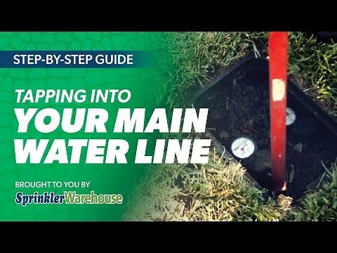 Tapping Into the Main Line