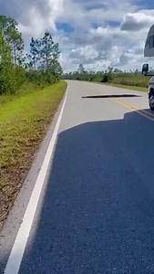 187K views · 3.2K reactions | Why did the 15-foot python cross the road?  Kym Clark in the Everglades National Park | Denis Phillips | Facebook