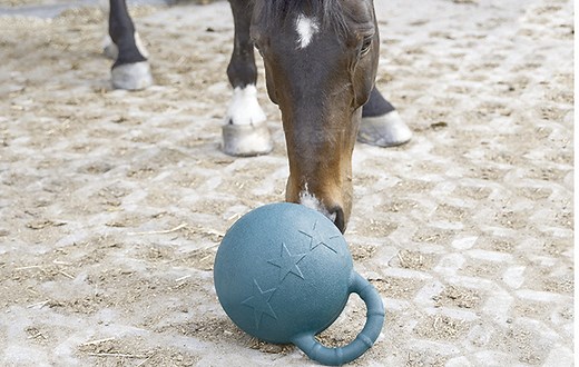 Best stable toys for horses to help ease boredom | Horse & Hound