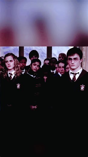 #tiktok #usa #movie #fyp #foryou | dumbledore saves sybil scene