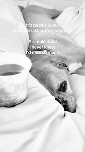 2.8K views · 121 reactions | It’s been a week since he left, and the...