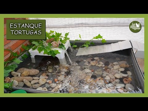 CÓMO CONSTRUIR UN ESTANQUE CASERO PARA TORTUGAS GRANDES RECICLADO Y SIN OBRA EN BALCÓN PEQUEÑO