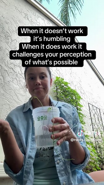 Secrets to Successful Plant Propagation Tips