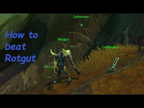 How to beat Rotgut - Extra Pieces WQ - World of Warcraft pet battle guide. (ENG)