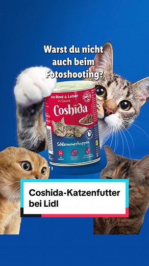Lidl in Deutschland on TikTok