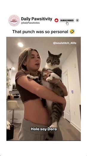 My cat is definitely NOT a fan of Dora 💀