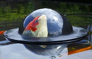 Floating Observation Dome Gives Koi Fish a Scenic View of the Outside World