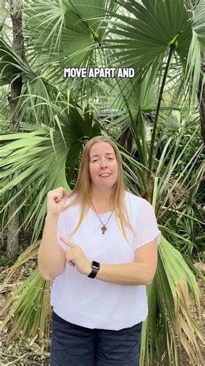 NASM CPT Test Prep Tip of the Day: Biomechanics Extension #personaltrainer #nasm #gym