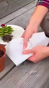 711K views · 494 reactions | Amazing DIY garden tools | 5-Minute Crafts Like | Facebook