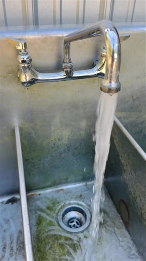 Better late than never! The marketplace sink is in place and plumbed, with running water💦 The Hopper Popper & hanger are in place, with a PVC backboard that’s washable. Just putting a few finishing touches on the harvesting end of the rabbitry before processing tonight or tomorrow. This setup has been in the works since building the rabbitry, streamlining efficiency verses having multiple spread out work spaces. One step closer to hosting a full schedule of classes in 2026! | SunStone Orchard &