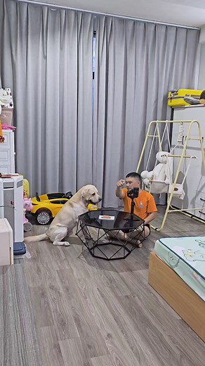 461K views · 7.9K reactions | Úm ba la, nay bác Nô làm ảo thuật biến mất, thằng cò cháu hốt hoảng luôn  #cucaikimchi #funnydogs | Củ Cải | Facebook