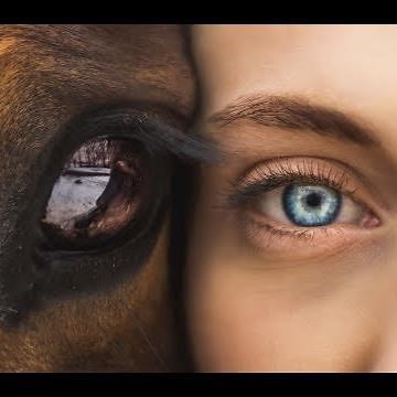 15 Similarities between Humans and Animals You Should Know